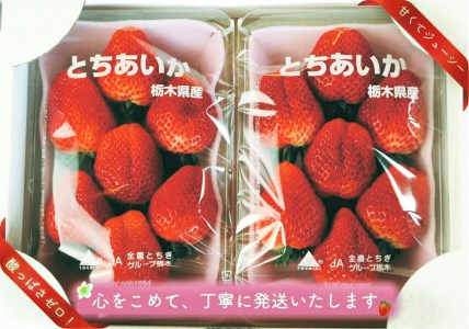 とちあいか 600g [2024年12月初旬より順次発送予定] 朝獲れ新鮮 秘密にしたい美味しさ｜いちご イチゴ 苺 フルーツ 果物 産地直送 先行予約 栃木県産 [0588]