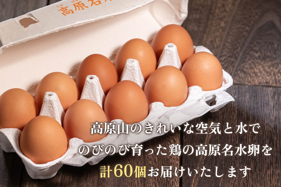 高原名水卵 60個 豊かな自然で育ったアスタキサンチン含有の高原名水卵【感動の甘さと濃さ】｜こだわり卵 たまご タマゴ 玉子 生卵 鶏卵 高原養鶏場 矢板市産 [0583]
