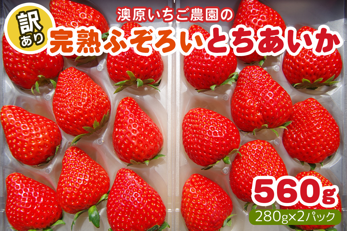 [訳あり] 完熟ふぞろい とちあいか 560g《2025年4月以降に順次発送》｜訳あり品 栃木県産 矢板市産 いちご イチゴ 苺 フルーツ 果物 産地直送 数量限定 期間限定 先行受付 [0616]