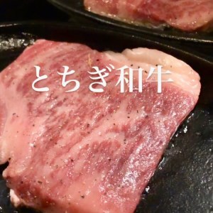 [あおい亭四季] お食事券 (寄附額6万円コース)｜矢板市 栃木県 ランチ ディナー 旅行 観光 チケット グルメ お祝い デート 記念日  [0398]