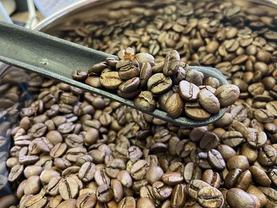 [やいたブランド認証品] 自家焙煎珈琲豆 YAITA BLEND《TSUTSUJI》ドリップバック (シティロースト) 12g×15袋｜SAKURA黒猫堂 珈琲 焙煎 コーヒー豆 矢板市 やいたブランド