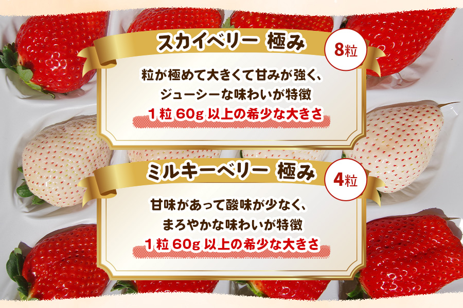 [数量限定] スカイベリー 極み×ミルキーベリー 極み 12粒《1月初旬〜2月初旬に順次発送》｜いちご イチゴ 苺 フルーツ スカイベリー ミルキーベリー 果物 産地直送 栃木県産 [0575]