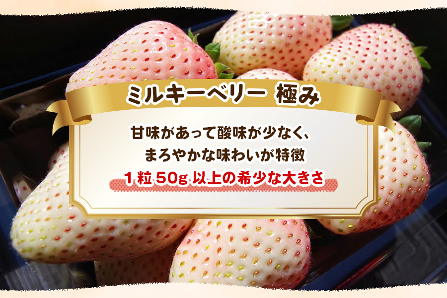 [数量限定] 完熟朝摘みミルキーベリー 極み 18粒《1月初旬〜2月初旬に順次発送》｜いちご イチゴ 苺 フルーツ ミルキーベリー 果物 産地直送 栃木県産 [0574]