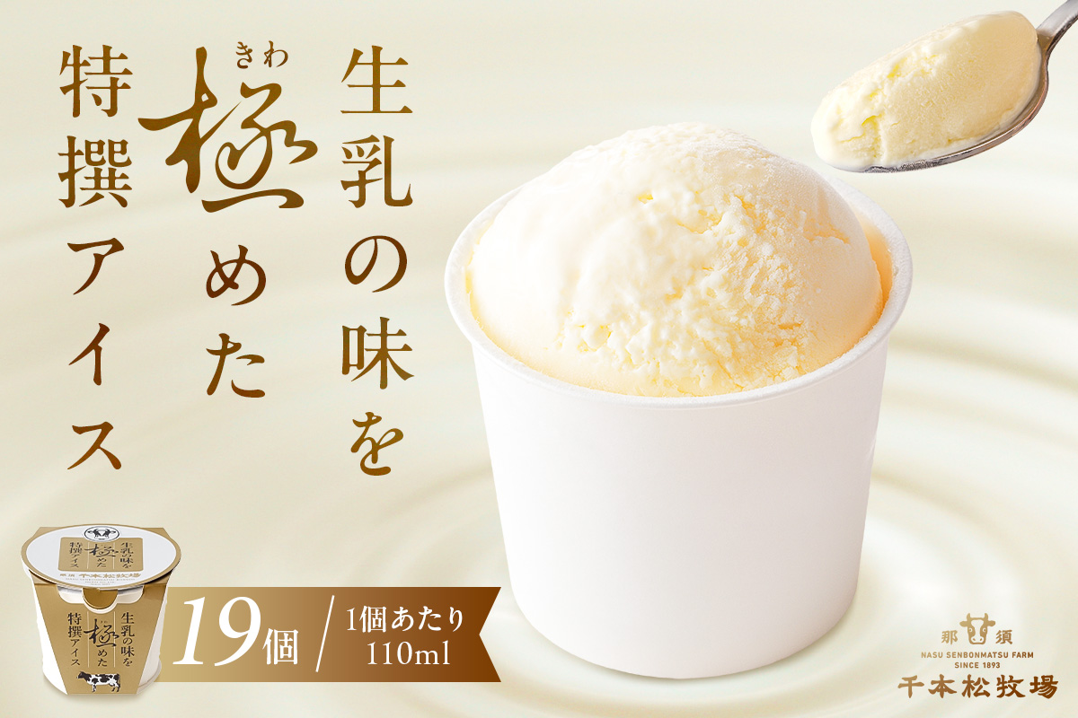 生乳の味を極めた特撰アイス19個セット 【千本松牧場】 ns025-011-19
