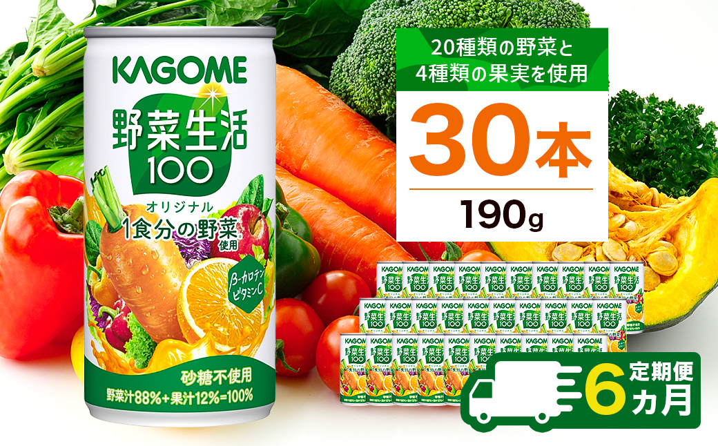 【定期便6ヵ月】カゴメ 野菜生活100 オリジナル 190g缶×30本 1ケース ns001-015