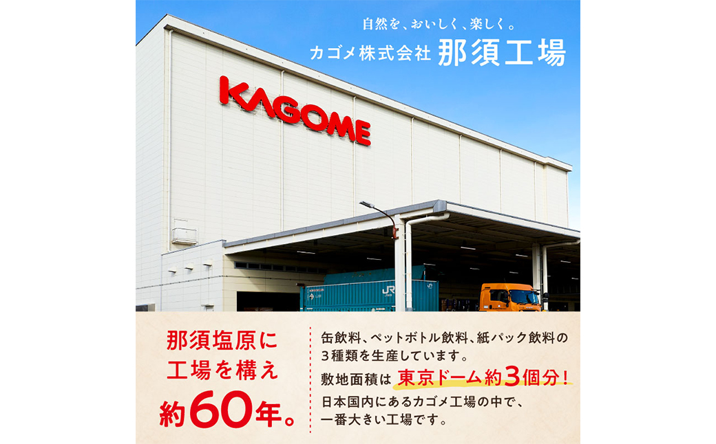 【定期便12ヵ月】カゴメ 野菜一日これ一本 長期保存用 190g缶×30本 1ケース ns001-013