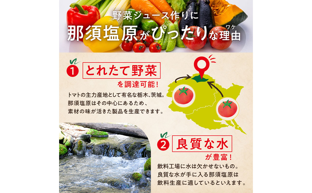 【定期便6ヵ月】カゴメ 野菜生活100(オリジナル)720ml PET×15本 1ケース ns001-003