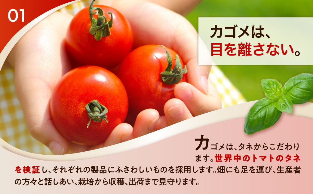 【定期便12ヵ月】カゴメ トマトジュース食塩無添加 720ml PET×15本 1ケース ns001-007