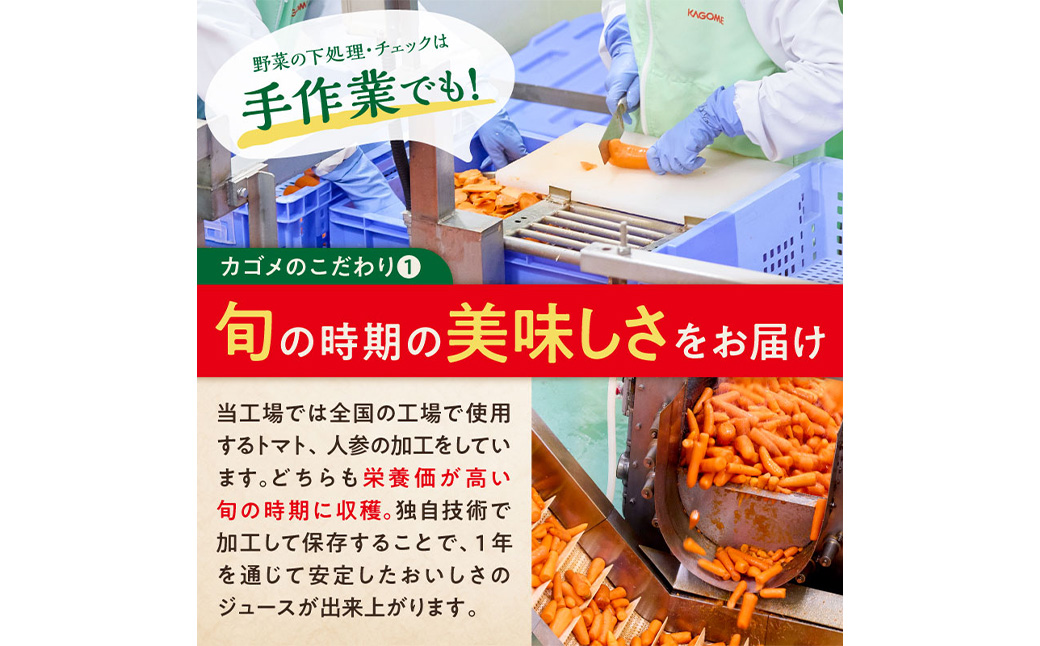 【定期便12ヵ月】カゴメ 野菜一日これ一本 長期保存用 190g缶×30本 1ケース ns001-013