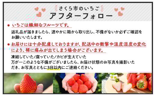 ãå
è¡äºçŽããæ°ééå®ããšã¡ããã 290gÃ10ããã¯ïœãã¡ã ã€ããŽ èº å
è¡äºçŽ æ æšç æç© ãã ãã® ãã«ãŒã ãšã¡ããã æ°é®® èŽç ã®ãã é£ã¹æ¯ã¹ ç空ãã㯠â»2025幎11æäžæ¬é ããé æ¬¡çºéäºå®