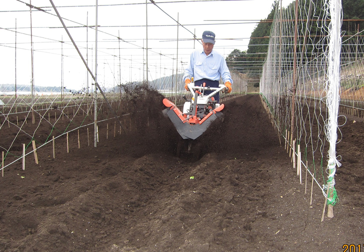 さくらブランド認証品　えみの自然薯　2〜3本（2.3kg以上）山芋 とろろ 国産 健康 ※2023年11月下旬頃より順次発送予定