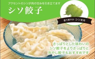 「宇都宮餃子館」シソ餃子 960ｇ（４８個）ギョーザ 冷凍餃子 冷凍食品 グルメ 食品 惣菜 中華惣菜 点心 中華 送料無料