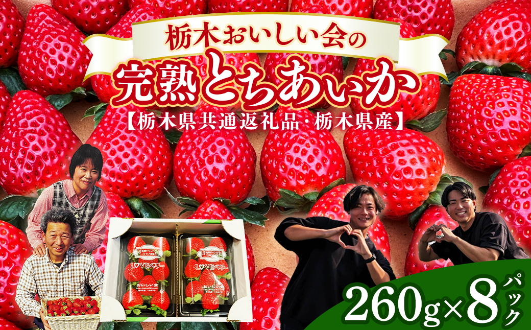 栃木おいしい会のいちご（とちあいか）260g×8パック（2080g）｜栃木県共通返礼品 栃木県産 ※2027年1月～発送