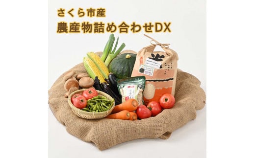 さくら市産の農産物詰め合わせDX　≪野菜 旬の野菜 米 送料無料≫