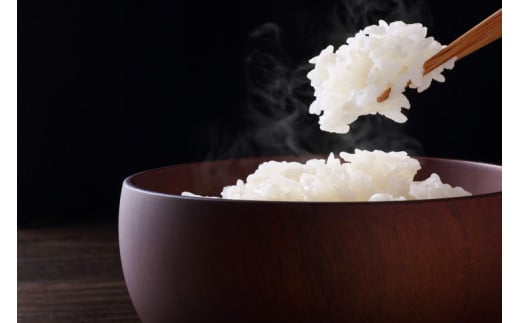 栃木県産　コシヒカリ5kg・とちぎの星5kg【白米食べ比べセット】