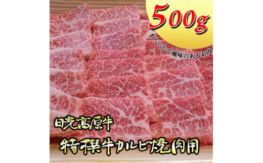 日光高原牛特撰牛カルビ焼肉用500ｇ入 肉 霜降り 焼肉 国産牛 グルメ 栃木県 送料無料