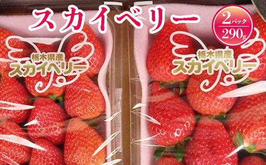 いちご スカイベリーセット【先行予約 数量限定 栃木県 果物 くだもの フルーツ 苺 イチゴ 大粒】　※2023年1月下旬〜5月下旬頃に順次発送予定