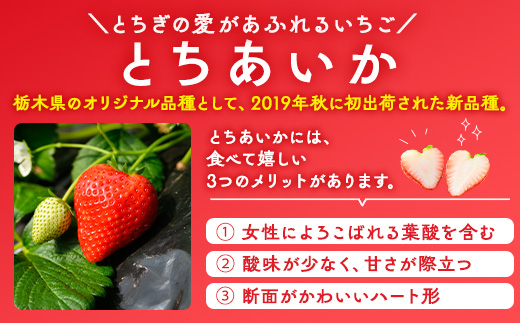 いちご（とちあいか） 290g×2パック 580g以上｜先行予約 数量限定 栃木県 果物 くだもの フルーツ 苺 イチゴ ※2024年11月下旬頃～2025年3月下旬頃に順次発送予定