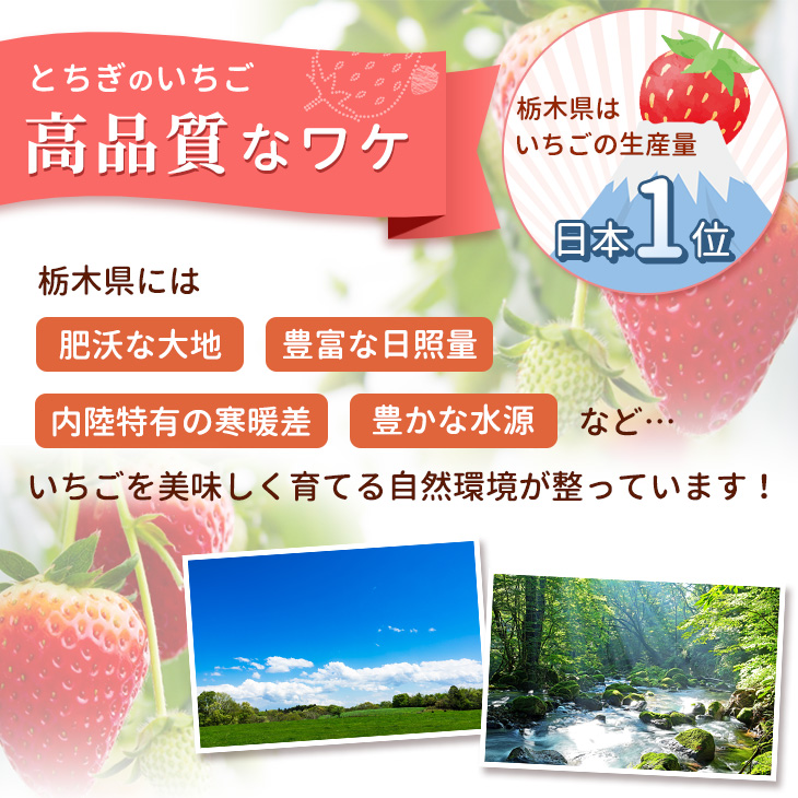 いちご 紅白セット（ミルキーベリー、スカイベリー）【先行予約 数量限定 栃木県 果物 くだもの フルーツ 苺 イチゴ】　※2023年1月下旬〜5月下旬頃に順次発送予定