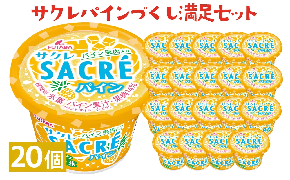 サクレパインづくし満足セット　20個｜アイス かき氷 シャーベット デザート　※着日指定不可　※離島への配送不可