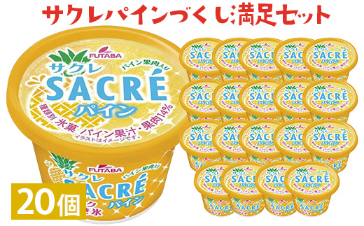 サクレパインづくし満足セット　20個｜アイス かき氷 シャーベット デザート　※着日指定不可　※離島への配送不可