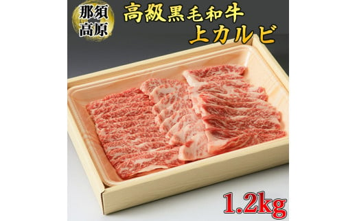 那須高原和牛上カルビ1.2kg入 肉 牛肉 黒毛和牛 グルメ 栃木県 送料無料　※着日指定不可