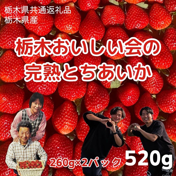 栃木おいしい会のいちご（とちあいか）260g×2パック（520g）｜栃木県共通返礼品 栃木県産 ※離島への配送不可 ※2025年3月上旬〜4月下旬頃に順次発送予定