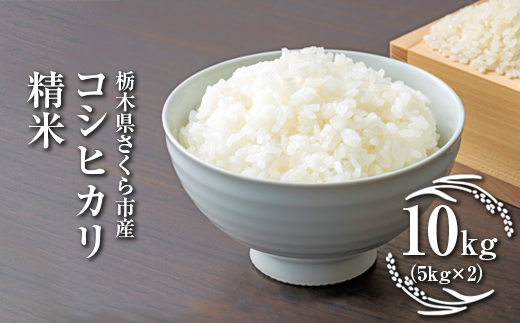 令和7年度　栃木県さくら市産コシヒカリ 精米10kg（5kg×2）｜米　白米　コメ　こめ　こしひかり　菜っ葉館※2025年10月中旬頃から順次発送予定