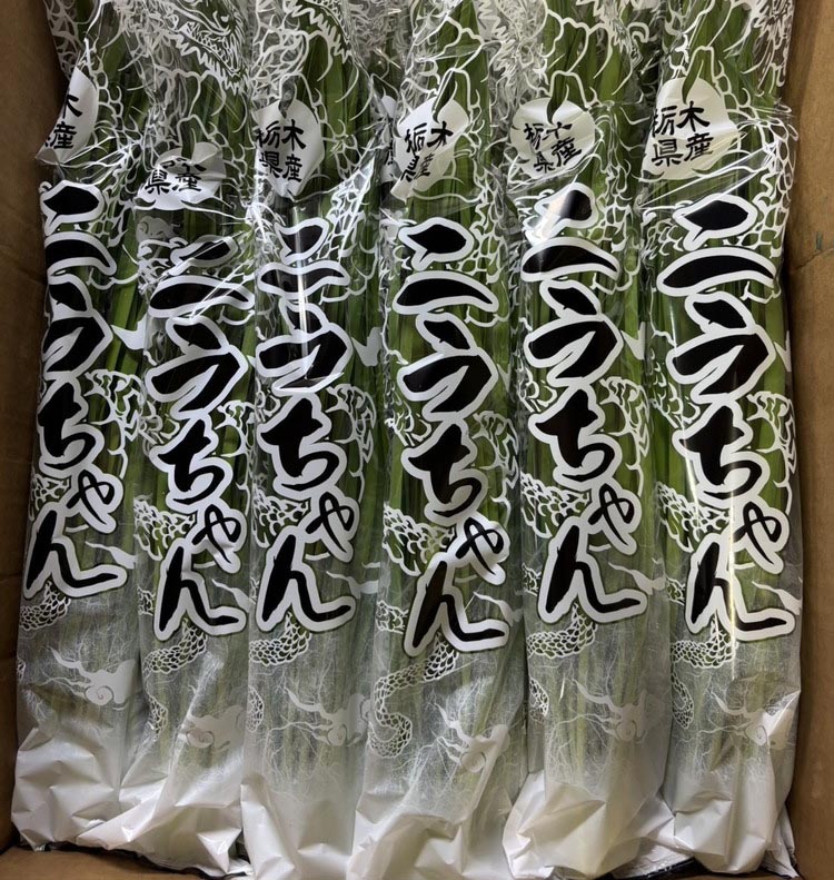 栃木県産こだわりニラ100g×10束 ｜ さくら市 にら 韮 野菜 国産