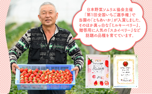 【先行予約】いちご とちあいかセット 270g×4パック（1.08kg以上）※2026年1月上旬～4月中旬頃に順次発送予定