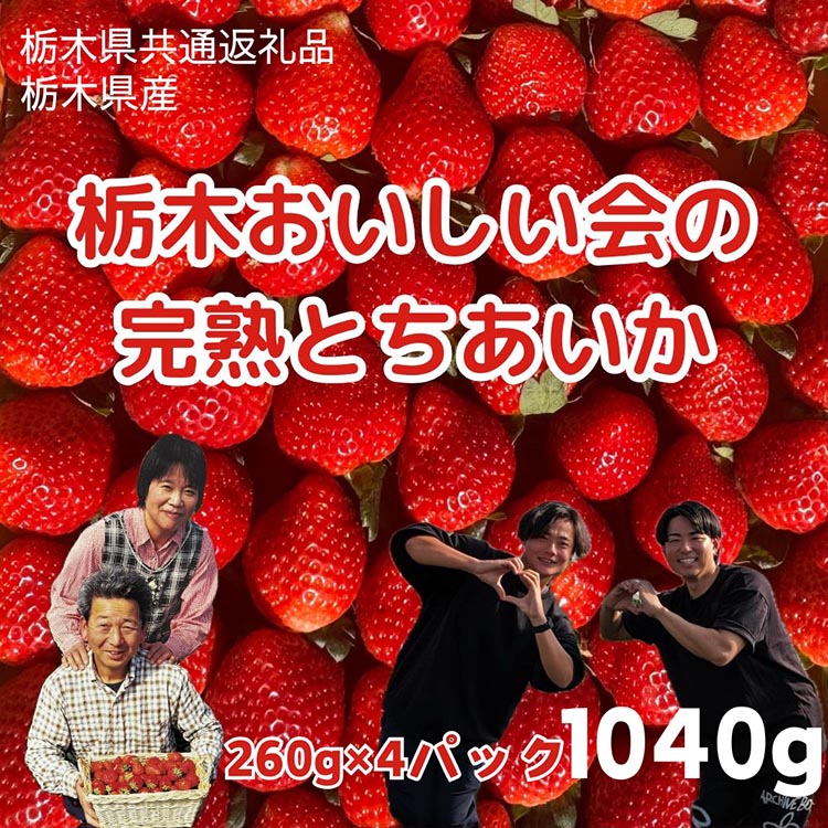 栃木おいしい会のいちご（とちあいか）260g×4パック（1040g）｜栃木県共通返礼品 栃木県産 ※離島への配送不可 ※2025年3月上旬〜4月下旬頃に順次発送予定