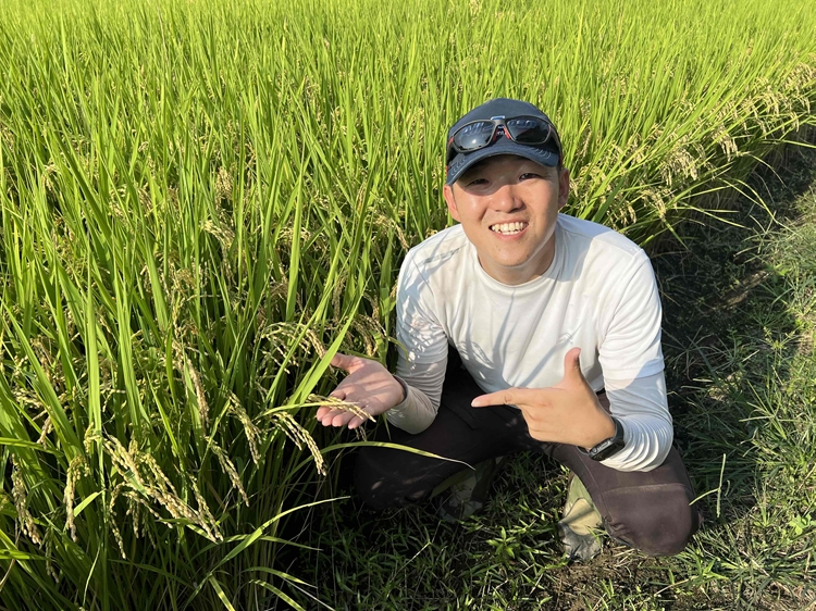 令和7年度産　栃木県産にじのきらめき 精米10kg　栃木県共通返礼品｜米 コメ 地域おこし協力隊