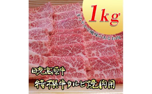 日光高原牛特撰牛カルビ焼肉用1kｇ入 肉 霜降り 焼肉 国産牛 グルメ 栃木県 送料無料※着日指定不可