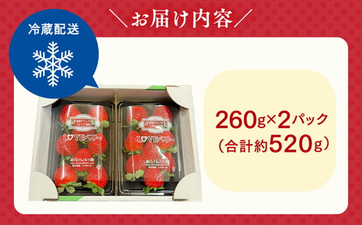 栃木おいしい会のいちご（とちあいか）260g×2パック（520g）｜栃木県共通返礼品 栃木県産 ※離島への配送不可 ※2026年1月上旬～4月下旬頃に順次発送予定