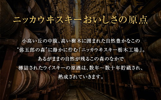 ウイスキー　ブラックニッカ　クリア　4L×1本｜ 栃木県 さくら市 の工場で 熟成 【 ウィスキー お酒 ハイボール 水割り ロック 飲む 国産 洋酒 ジャパニーズ ウイスキー 蒸溜所 家飲み 酒 お湯割り 】※着日指定不可