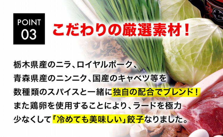 「宇都宮餃子館」エビ餃子 960g（48個）≪ギョーザ 冷凍餃子 冷凍食品 グルメ 食品 惣菜 中華惣菜 点心 中華≫