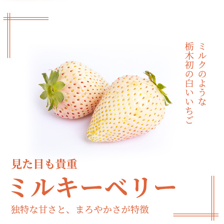 いちご 紅白セット（ミルキーベリー、スカイベリー）【先行予約 数量限定 栃木県 果物 くだもの フルーツ 苺 イチゴ】　※2023年1月下旬〜5月下旬頃に順次発送予定