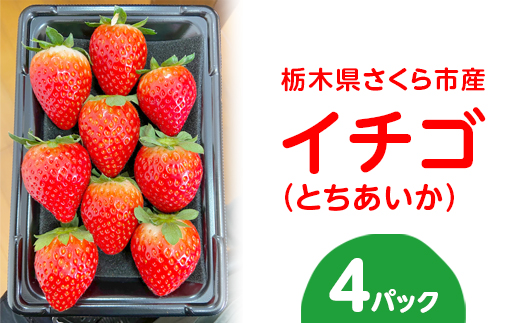 〈数量限定〉【先行予約】さくら市産イチゴ（とちあいか）290g×4パック【先行予約 栃木県 果物 くだもの フルーツ 苺 いちご】 ※2024年12月下旬～2025年3月下旬頃に順次発送予定