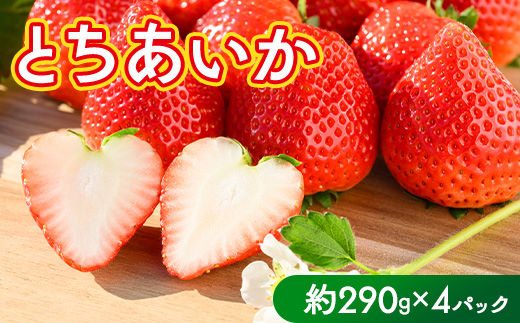 いちご（とちあいか） 290g×4パック 1.16kg以上｜先行予約 数量限定 栃木県 果物 くだもの フルーツ 苺 イチゴ ※2026年11月～発送