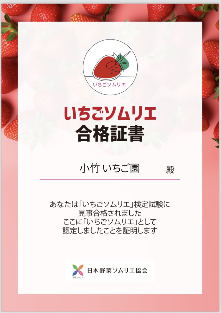 大満足4種食べ比べセット（とちおとめ、ミルキーベリー、とちあいか、スカイベリー）400g×2パック 800g｜先行予約 数量限定 栃木県 果物 くだもの フルーツ 苺 イチゴ ※2025年2月上旬～4月中旬頃に順次発送予定