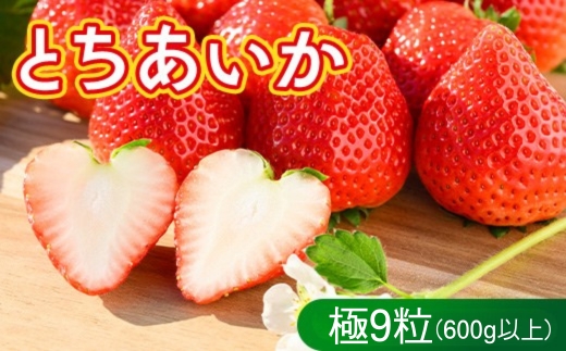 いちご（とちあいか　極）9粒 600g以上｜先行予約 数量限定 栃木県 果物 くだもの フルーツ 苺 イチゴ ※2026年12月～発送