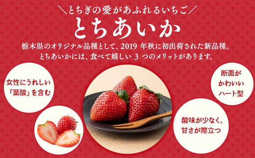 栃木おいしい会のいちご（とちあいか）260g×2パック（520g）｜栃木県共通返礼品 栃木県産 ※離島への配送不可 ※2026年1月上旬～4月下旬頃に順次発送予定