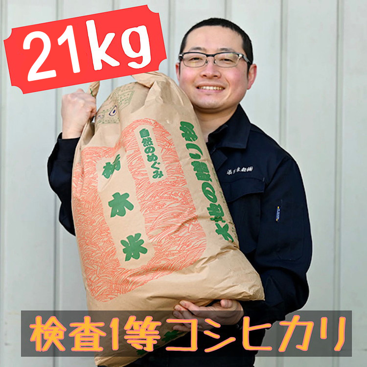 栃木県産 コシヒカリ 白米21kg【検査1等米】