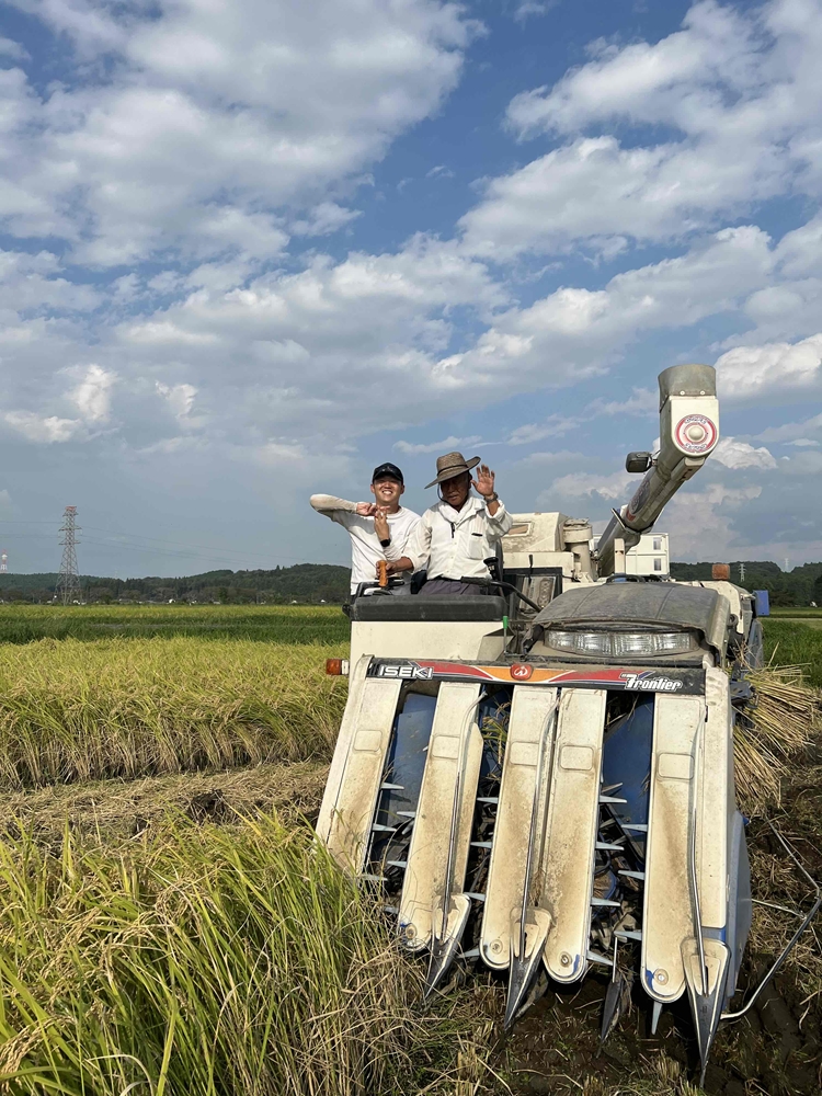 令和7年度産　栃木県産にじのきらめき 精米10kg　栃木県共通返礼品｜米 コメ 地域おこし協力隊