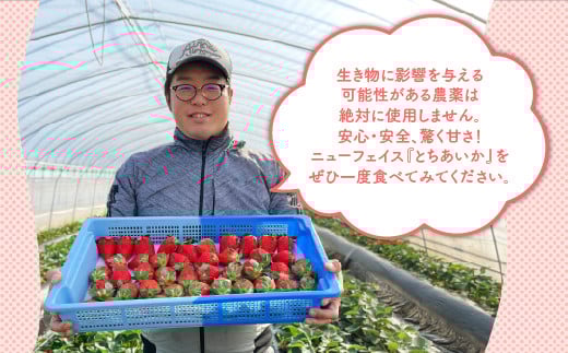 ãå
è¡äºçŽããæ°ééå®ããšã¡ããã 290gÃ2ããã¯ïœãã¡ã ã€ããŽ èº å
è¡äºçŽ æ æšç æç© ãã ãã® ãã«ãŒã ãšã¡ããã æ°é®® èŽç ã®ãã é£ã¹æ¯ã¹ ç空ãã㯠â»2025幎11æäžæ¬é ããé æ¬¡çºéäºå®