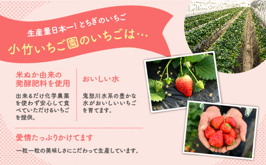 満足3種食べ比べセット（ミルキーベリー、スカイベリー、とちあいか）400g×2パック 800g｜先行予約 数量限定 栃木県 果物 くだもの フルーツ 苺 イチゴ ※2025年2月上旬～4月中旬頃に順次発送予定