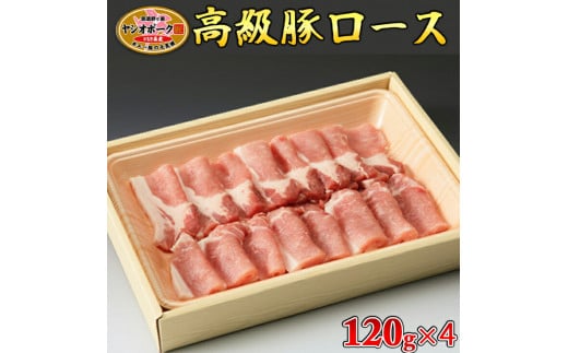栃木県産枝肉熟成ヤシオポークロース120g×4 肉 豚肉 豚ロース グルメ 栃木県 送料無料