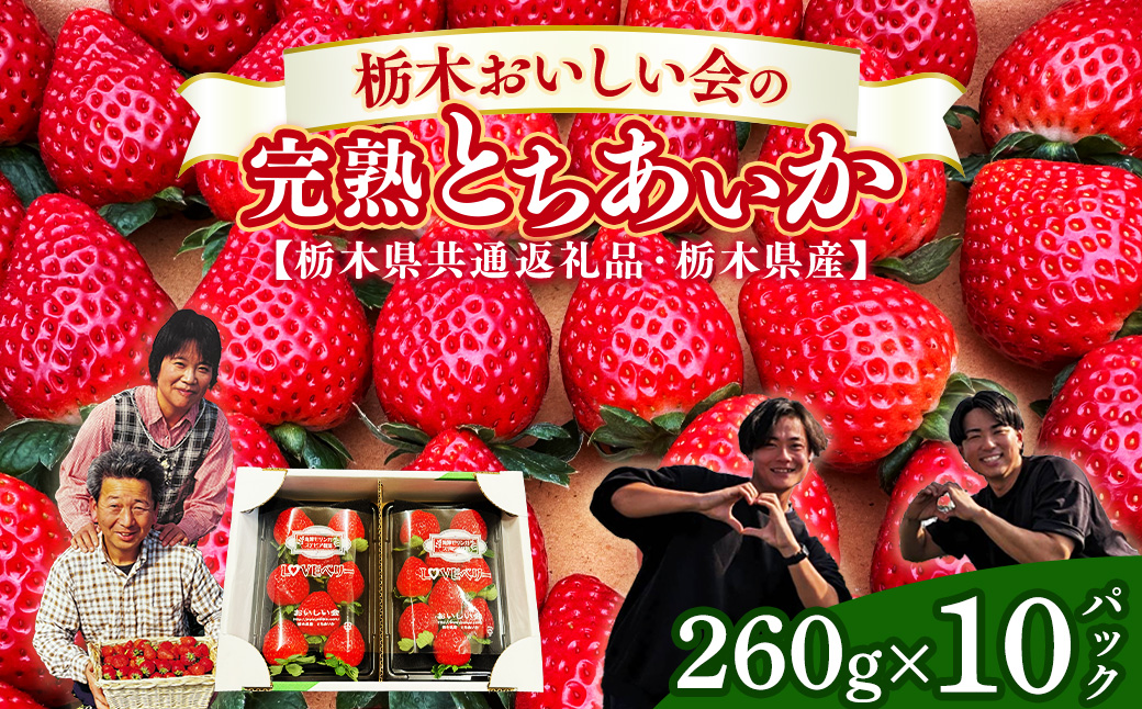栃木おいしい会のいちご（とちあいか）260g×10パック（2600g）｜栃木県共通返礼品 栃木県産 ※2027年1月～発送
