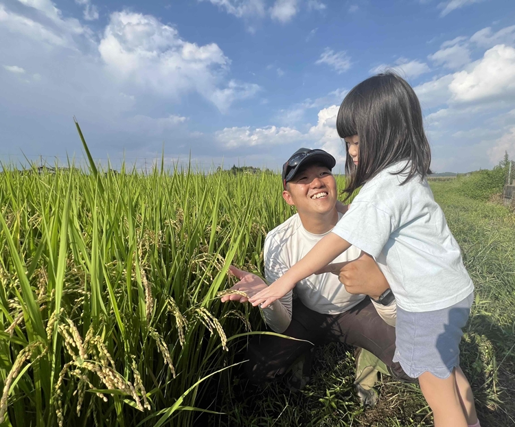 令和7年度産　栃木県産にじのきらめき 精米5kg　栃木県共通返礼品｜米 コメ 地域おこし協力隊
