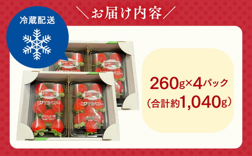 栃木おいしい会のいちご（とちあいか）260g×4パック（1040g）｜栃木県共通返礼品 栃木県産 ※離島への配送不可 ※2026年1月上旬～4月下旬頃に順次発送予定